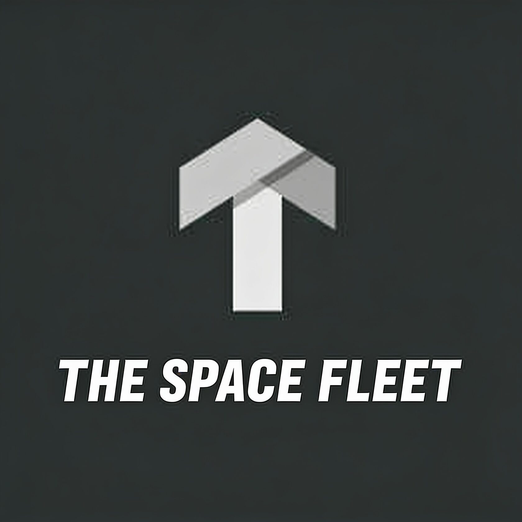 The Space Fleet