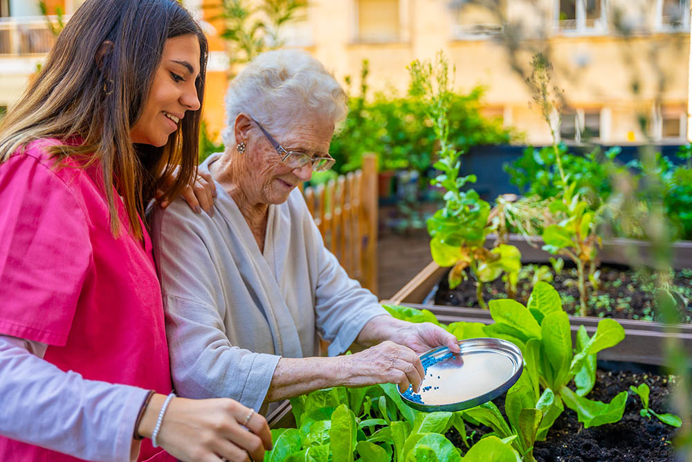 Young woman and elderly woman gardening together, sharing seeds in a lush vegetable garden, emphasizing plant growth and nurturing relationships.