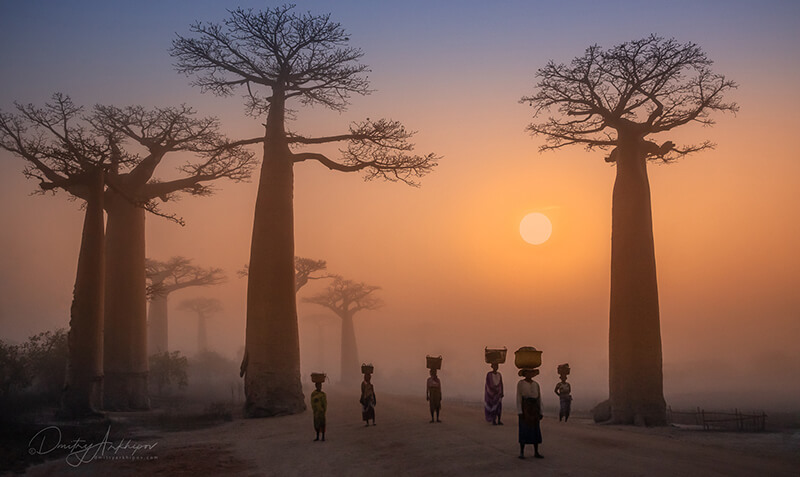 Photo tour to Madagascar, August 2021