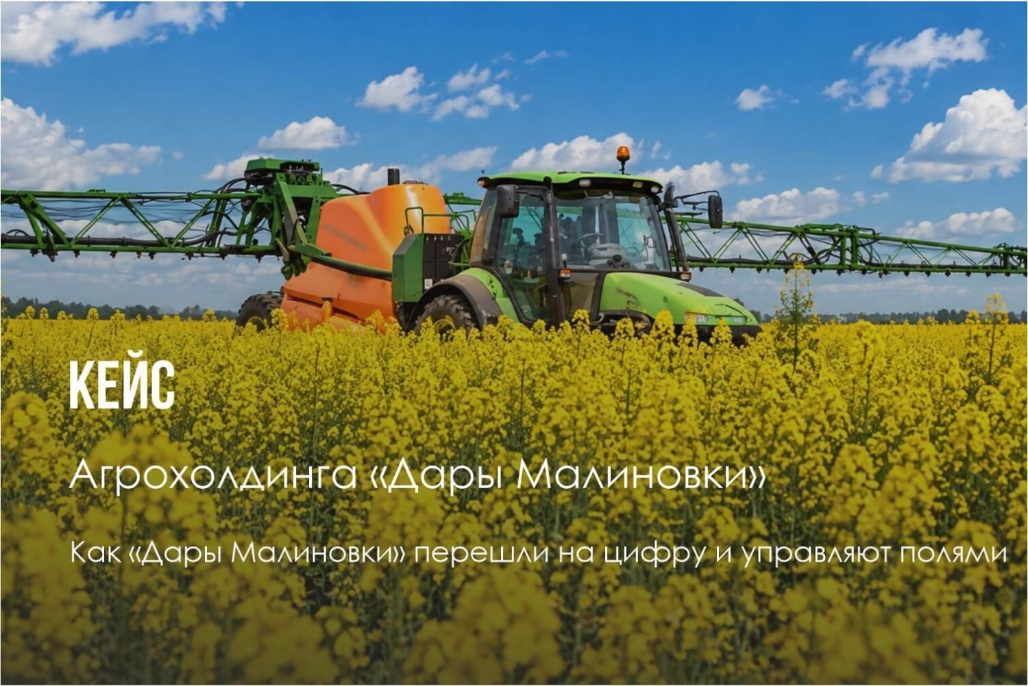 Дары Малиновки