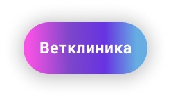 www.vsaite.ru Создадим сайт для ветклиники