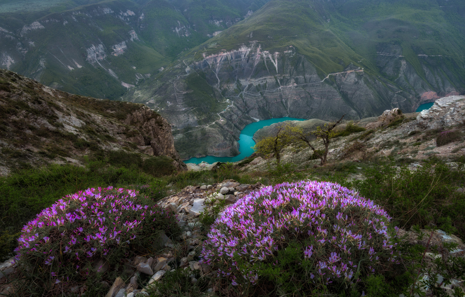 Фотки дагестана. Каньон Чечня Сулакский. Сулакский каньон Весна. Природный парк верхний Гуниб. Сулакский каньон Дербент.