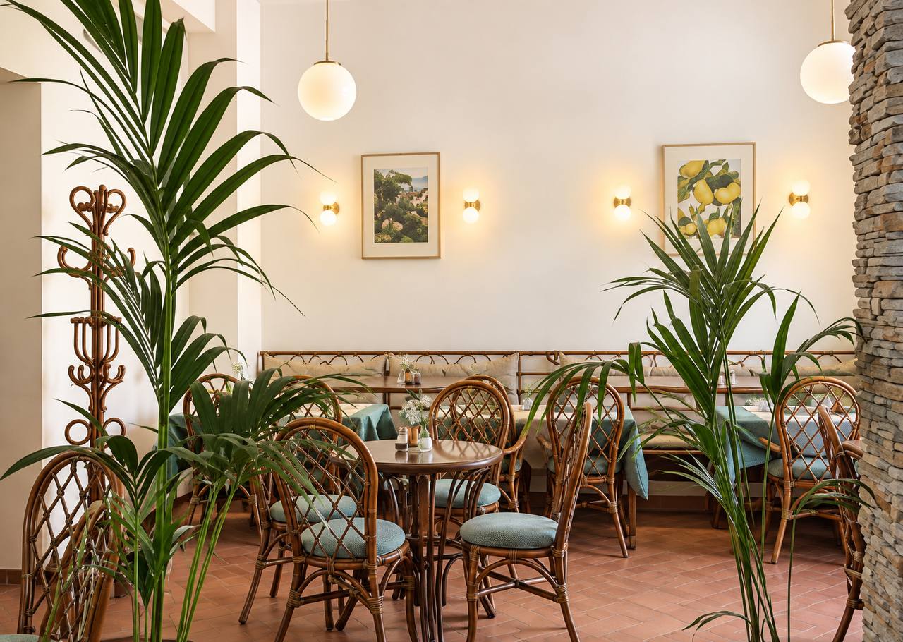 Warm memories of Avocado Café