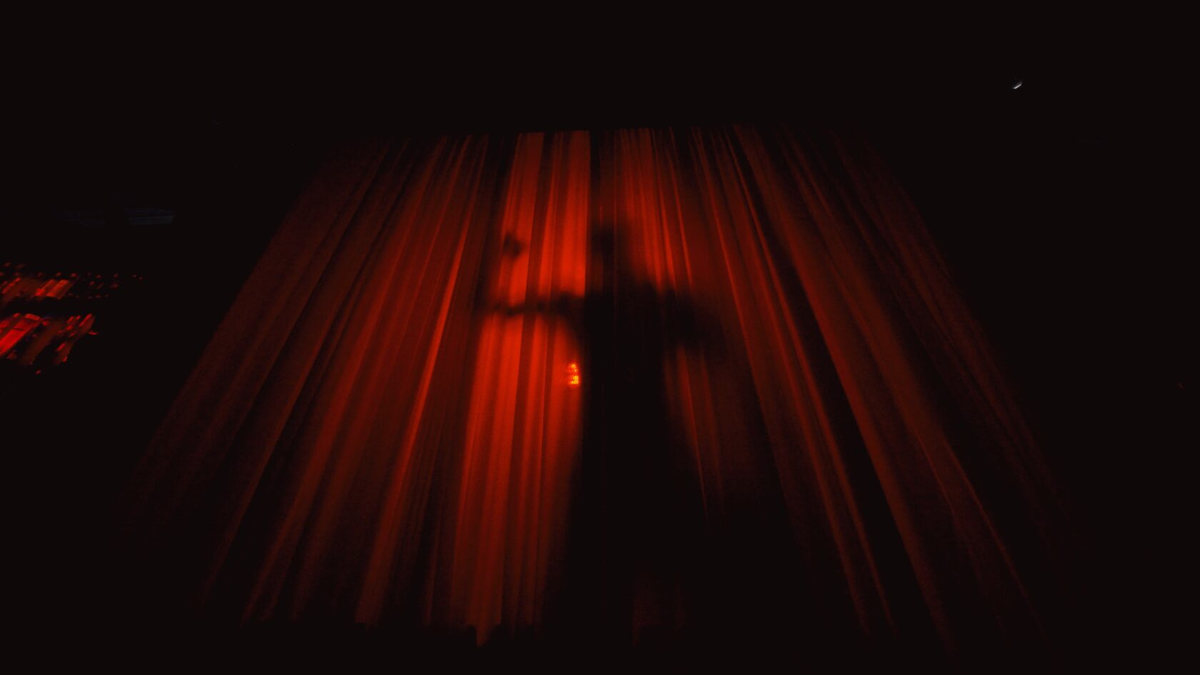 MEETING THE SHADOW still