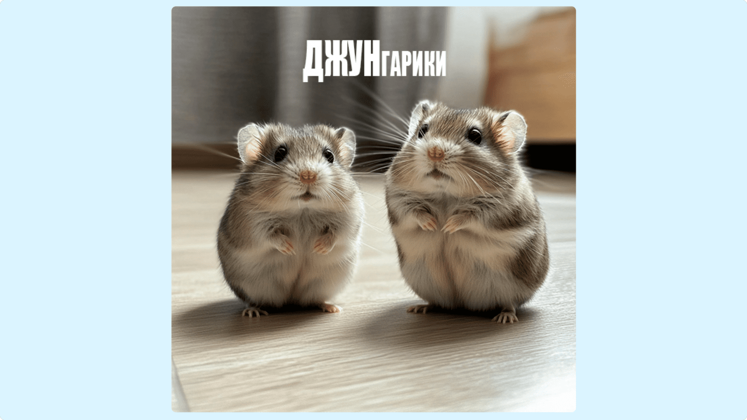 Мем про джунов