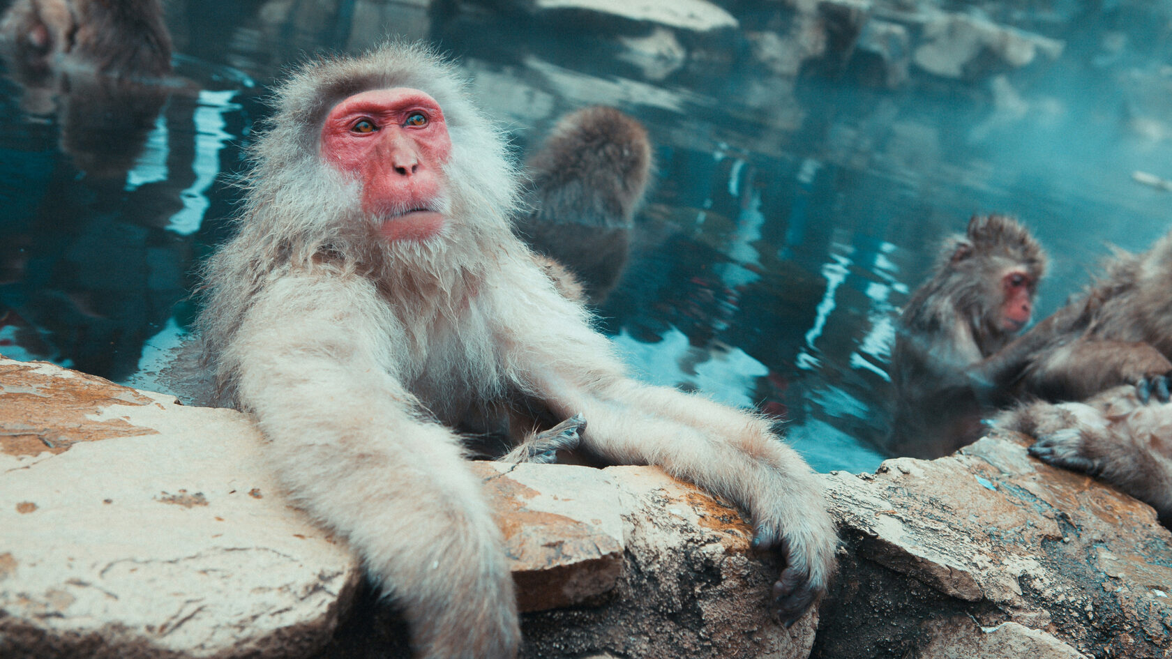 Японские онсэны — горячие источники под открытым небом