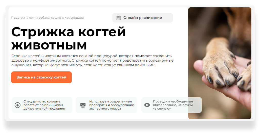 Стрижка когтей животным в Краснодаре - Подстричь когти собаке, кошке ...