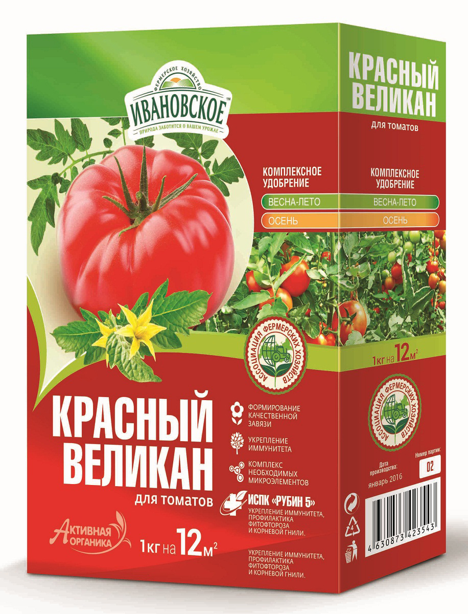 Томат Каспар Отзывы Фото