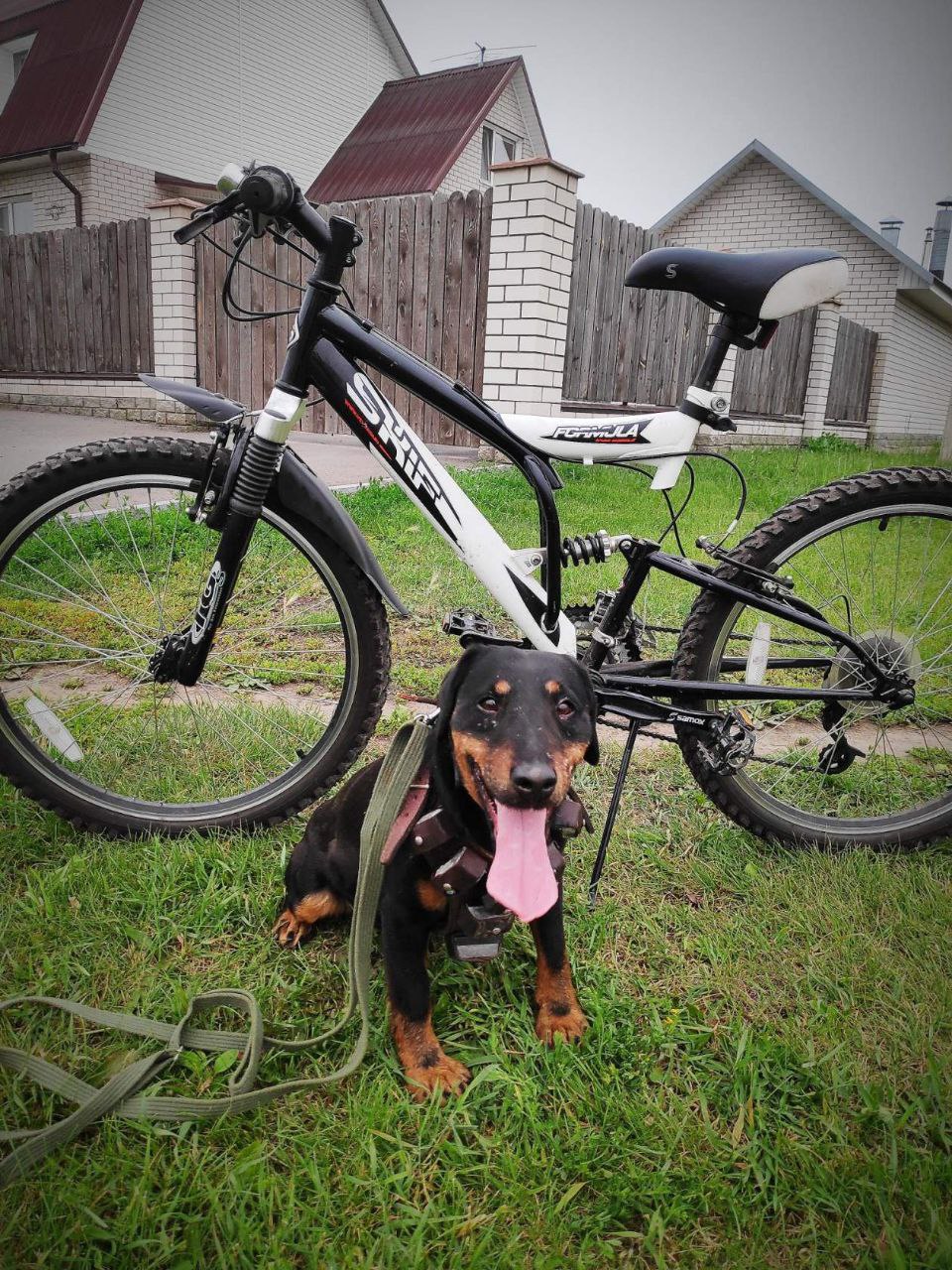 Отличное средство сбросить пыл.