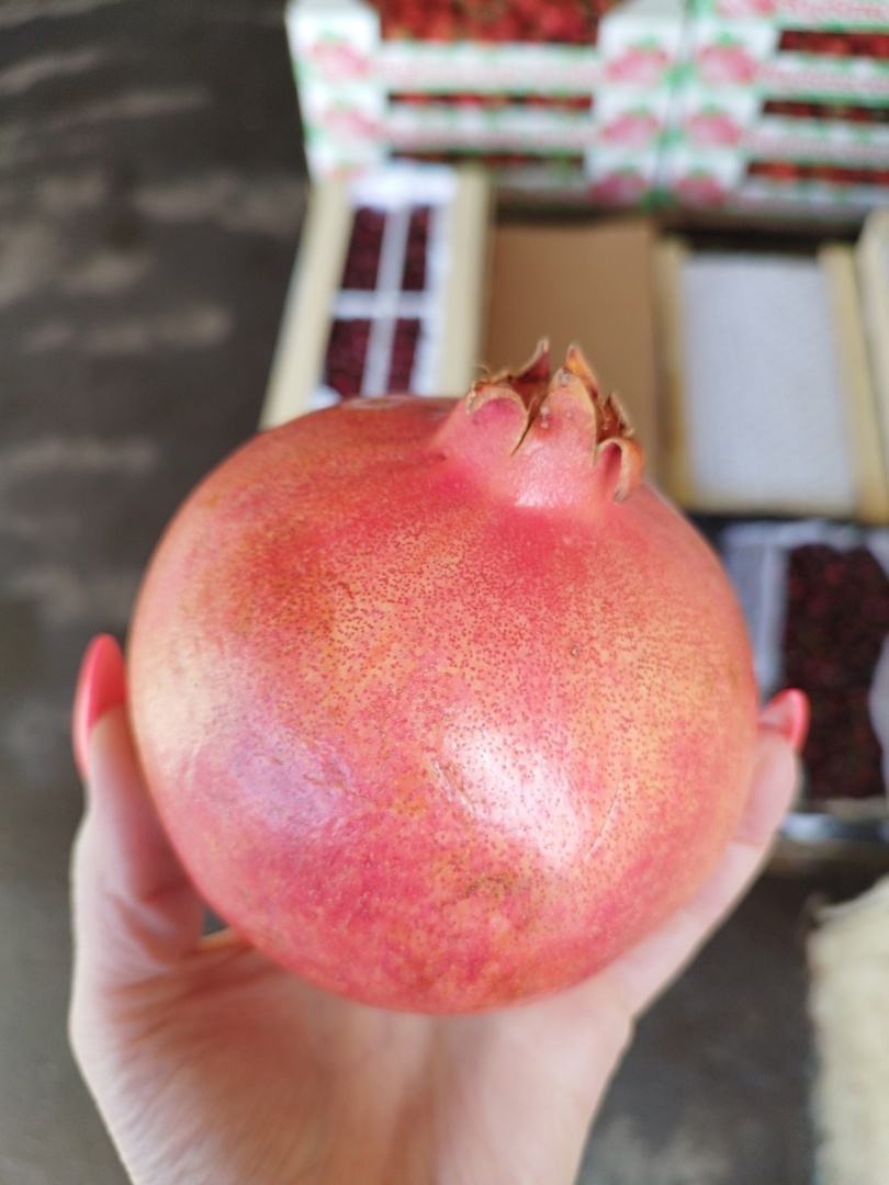 Купить гранат без косточек 