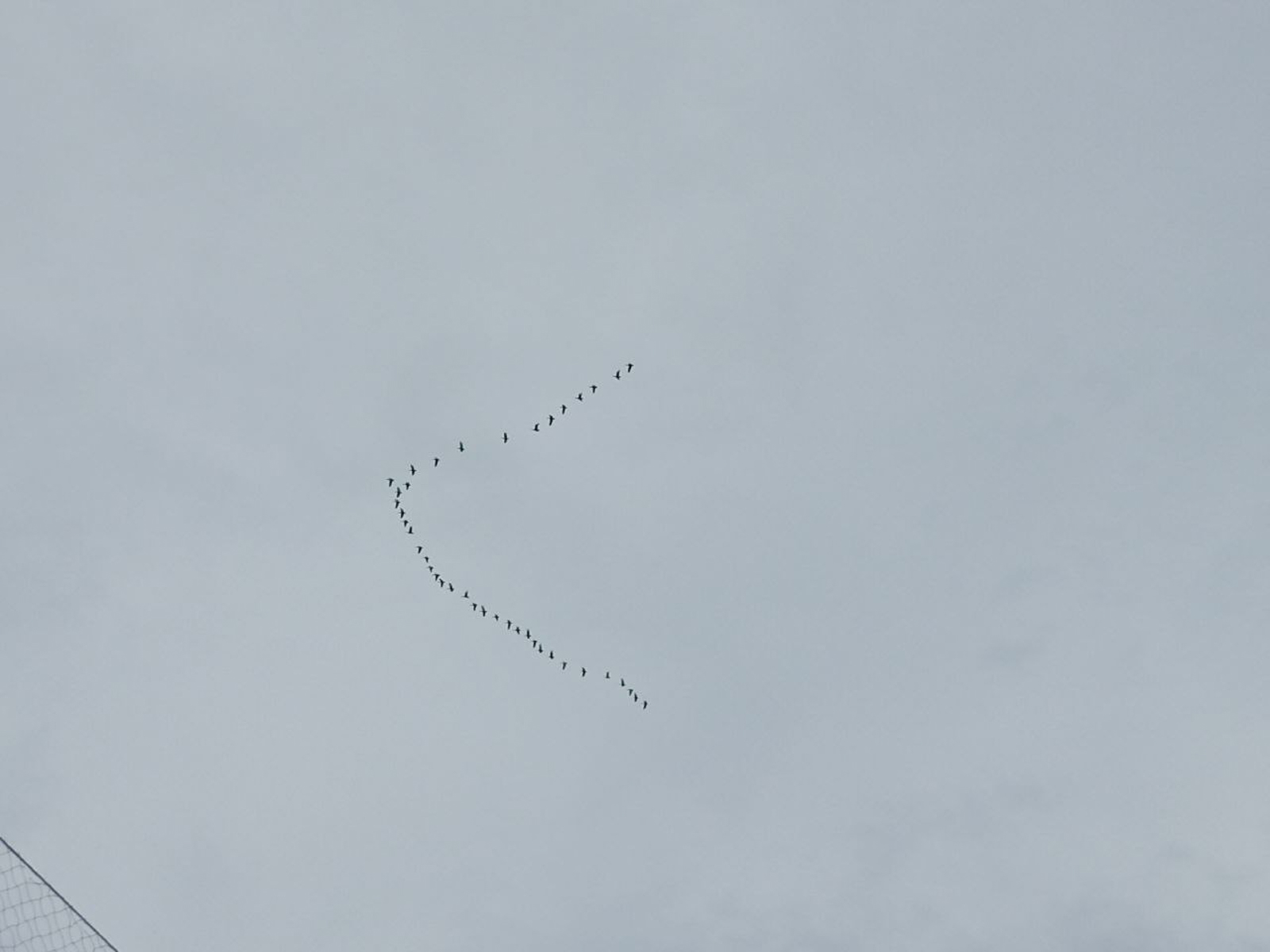 Орнитологи Байкальского заповедника 