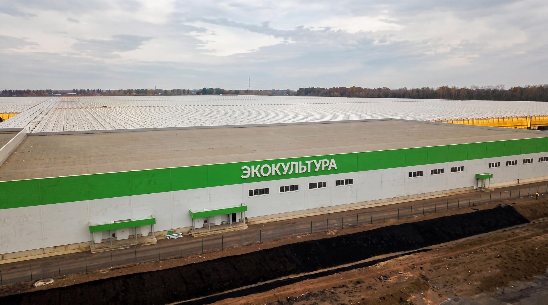 Тепличный комплекс «Экокультура»