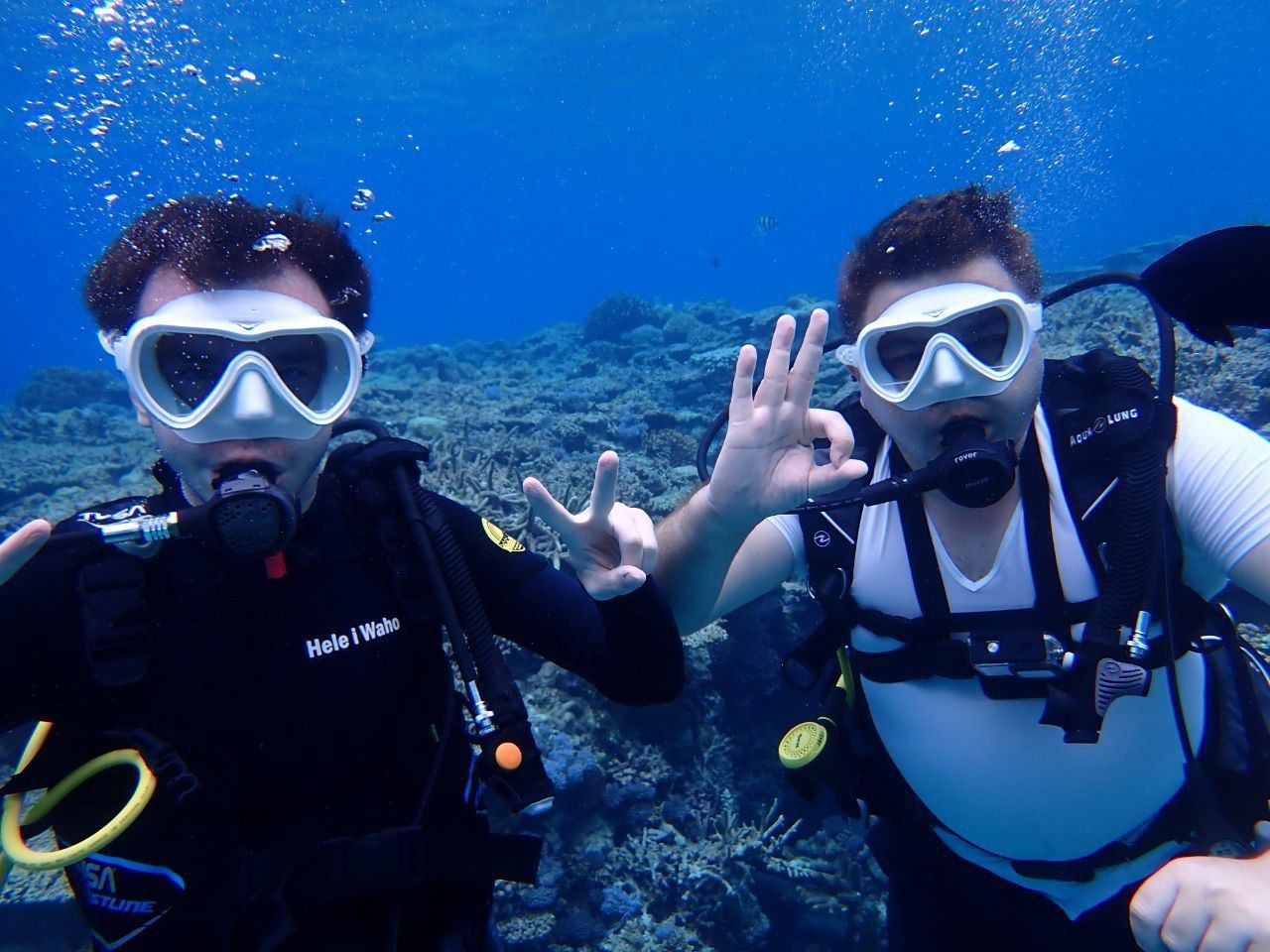 Дайвинг в Японии