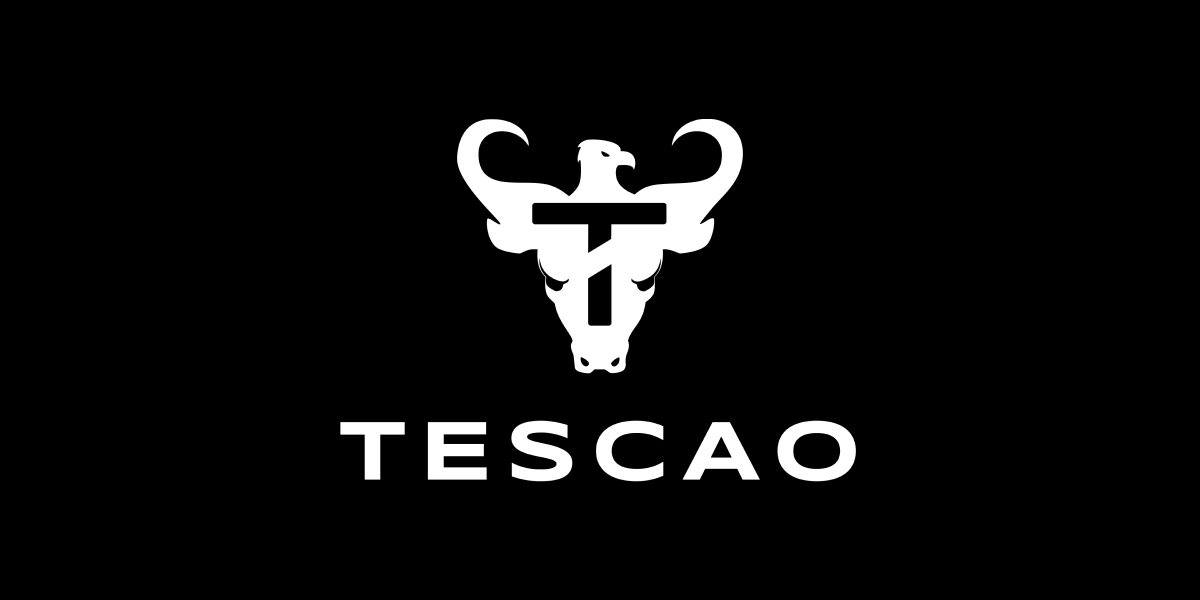 Tescao - fully virtual artist