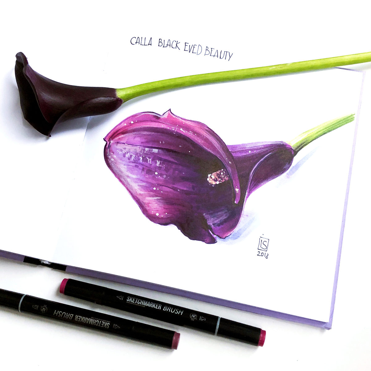 Онлайн-курс «Ботаническая иллюстрация маркерами» | Школа скетчинга и ...
