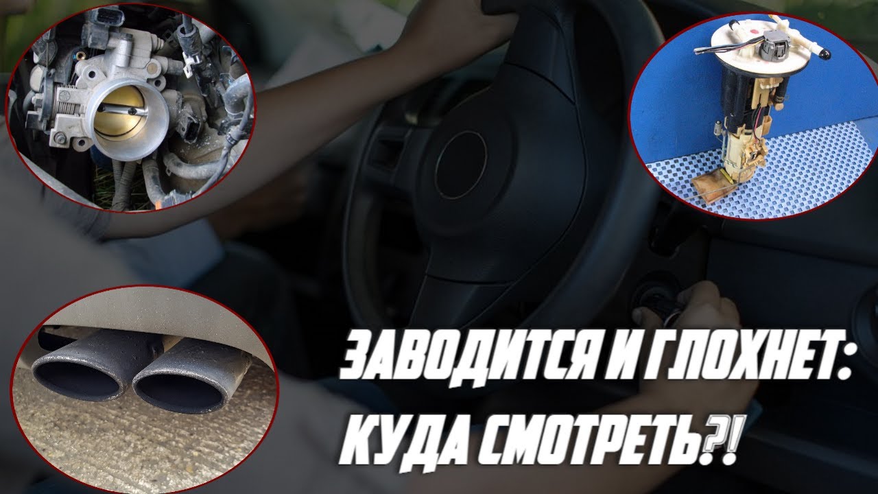 Машина заводится и сразу глохнет