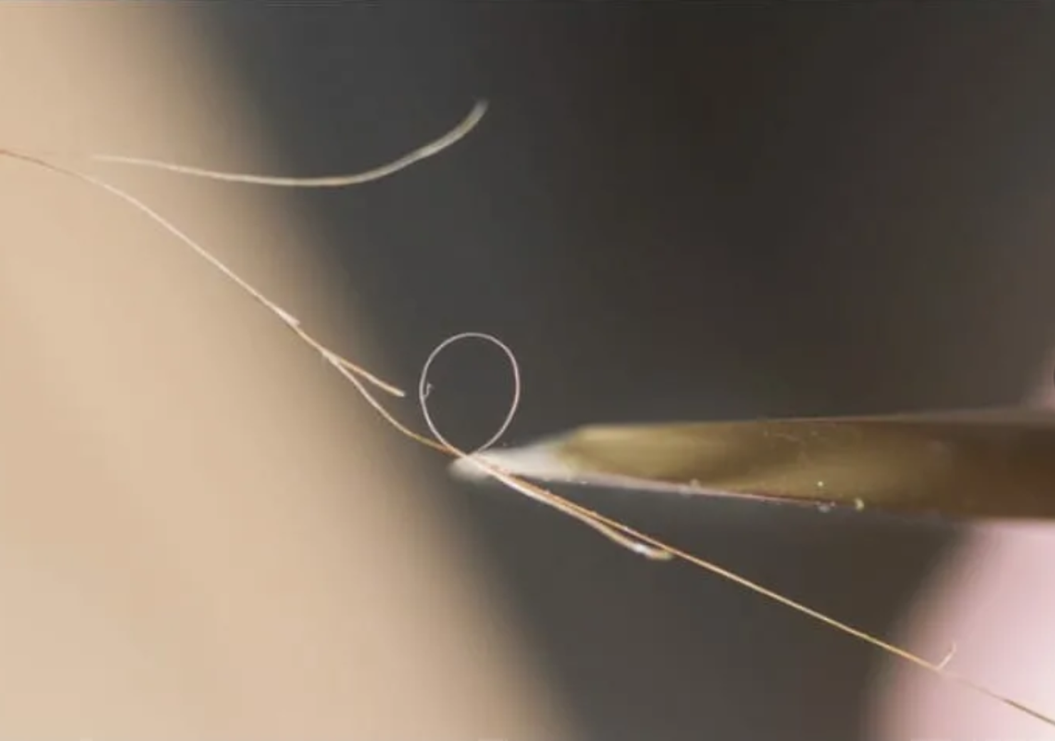 Проверка остроты на волос