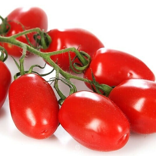 Solanum lycopersicum - Rare - Star Shape Tomato - 10 Seeds - Fresh See –  IDSeeds Farm