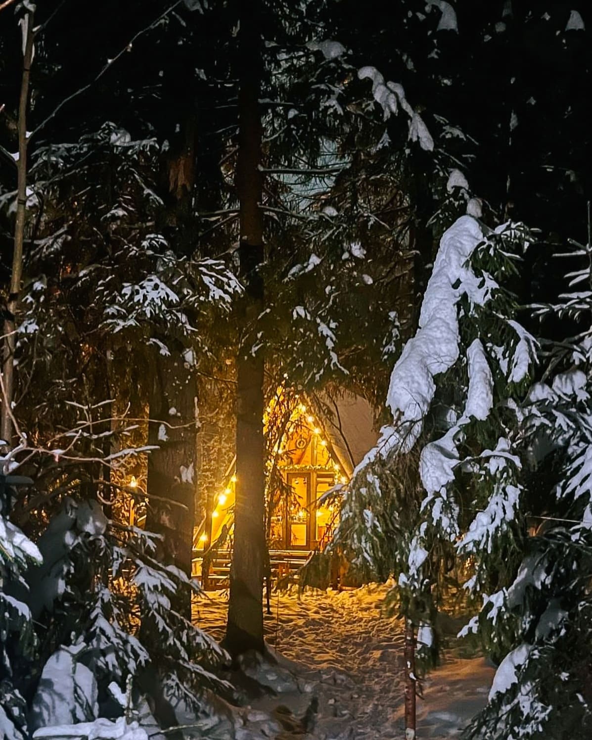 Теплый домик в лесу для зимнего отдыха в Подмосковье