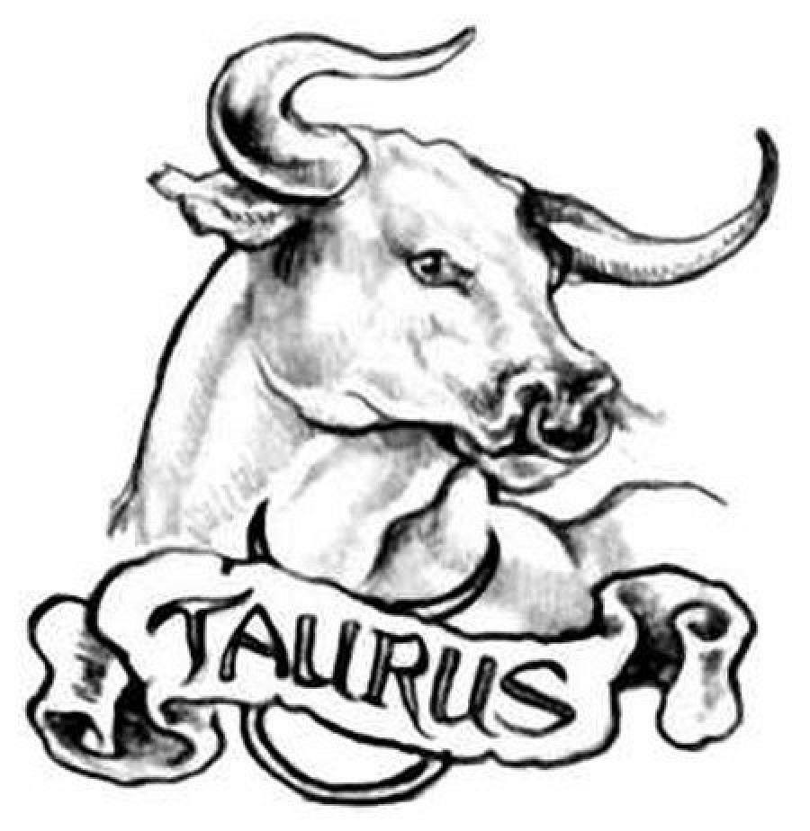 Телец знак зодиака Taurus