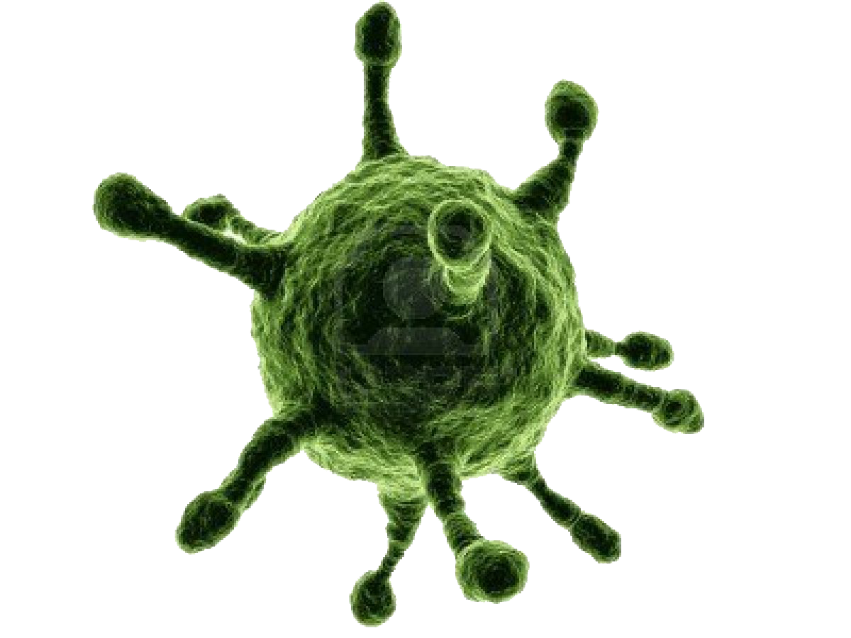 Possible virus