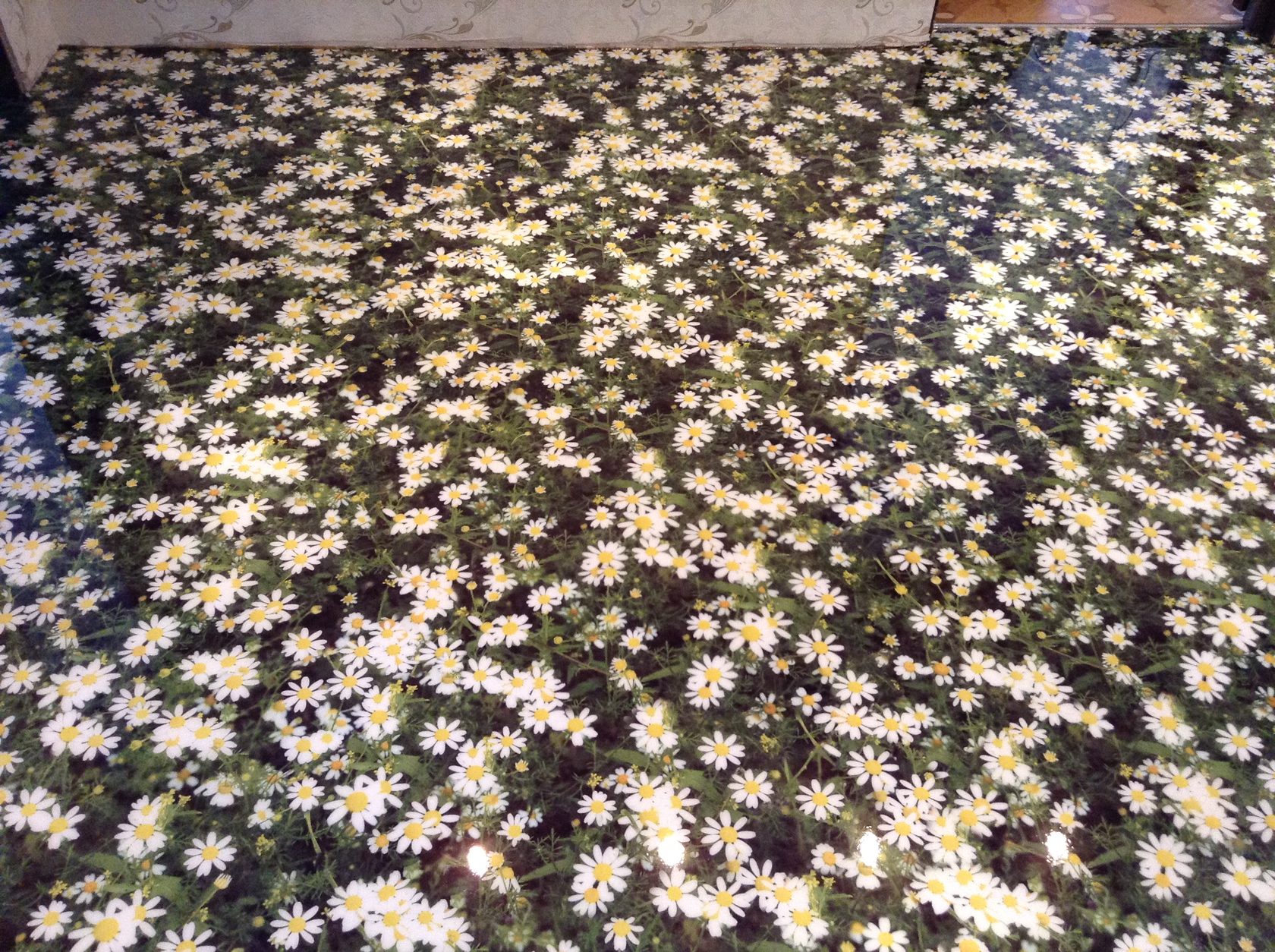 3д пол наливной