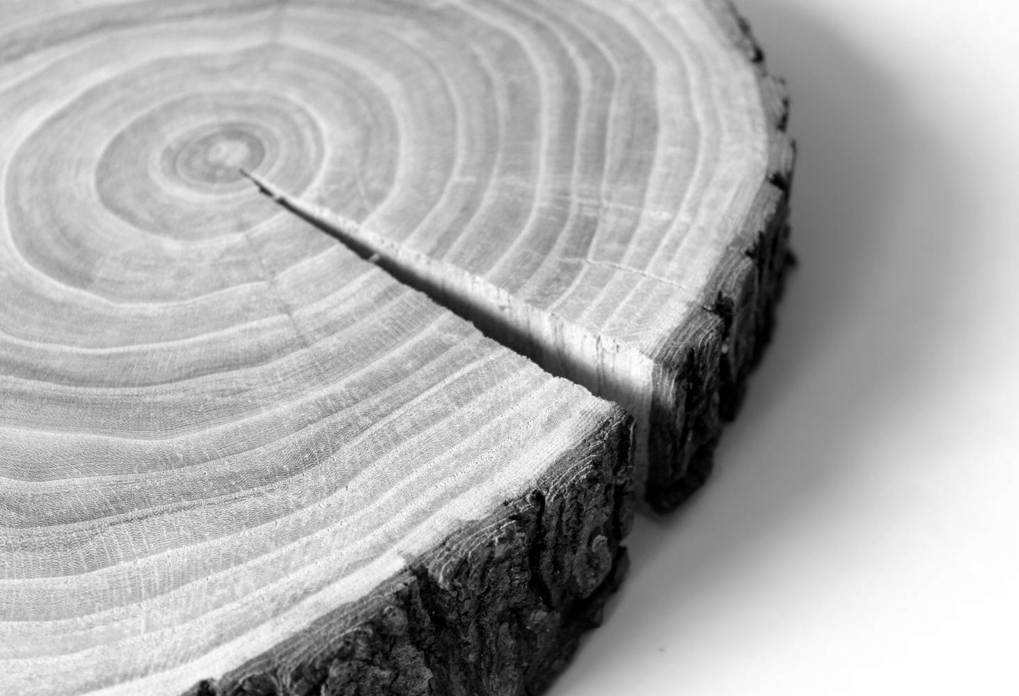 Мебель из массива