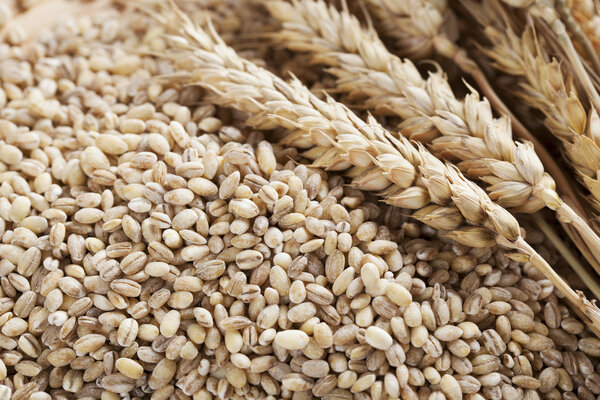 Пшеницата като култура