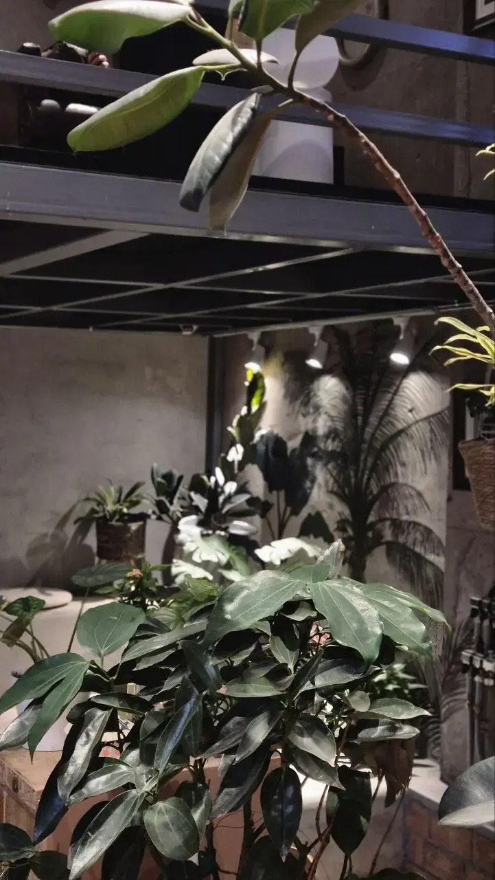 Кофейня в центре Хайлара