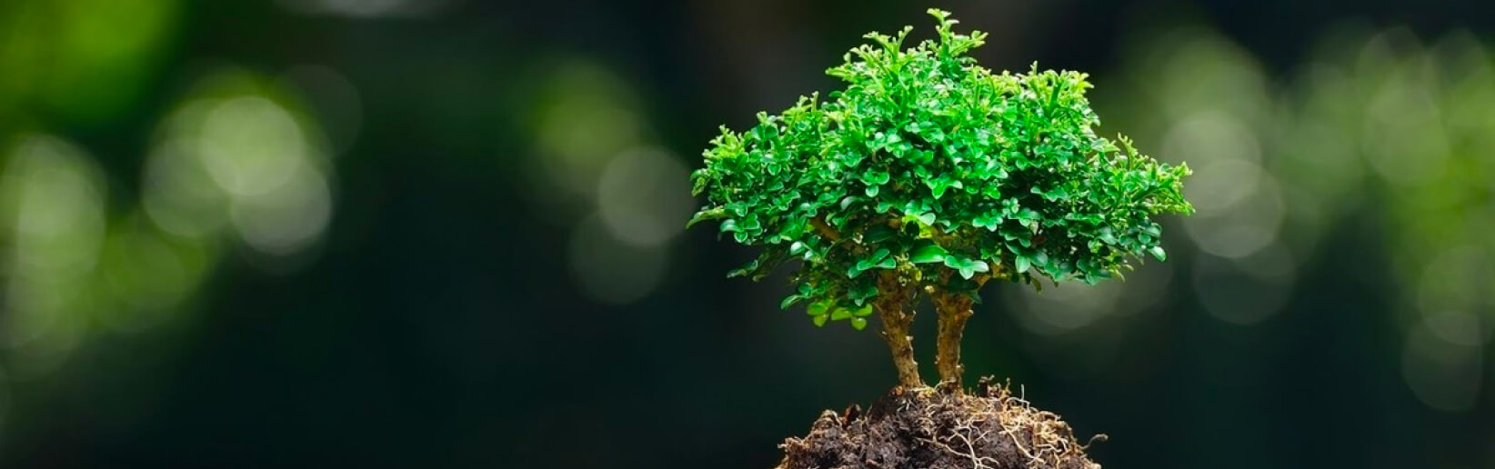 разборка картриджа принтера