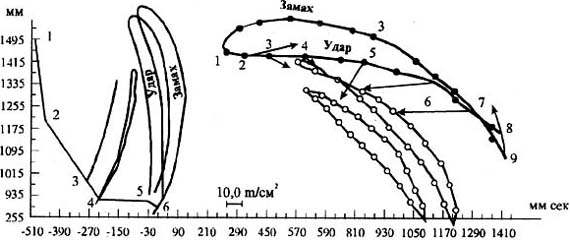 Рис. 1. Циклограмма перемещения звеньев руки и молотка от начала замаха до завершения удара (слева - ориг., справа - по Н.А. Бернштенну, 1923). На циклограмме Н.А. Бериштейна приведены рассчитанные нами векторы ускорений ц.м. молотка. На циклограмме слева - отражение лучей: от плечевого сустава - 1, от локтевого - 2, от лучезапястного - 3, от центра массы кисти - 4, от центра массы молотка - 5, от кончика молотка-6