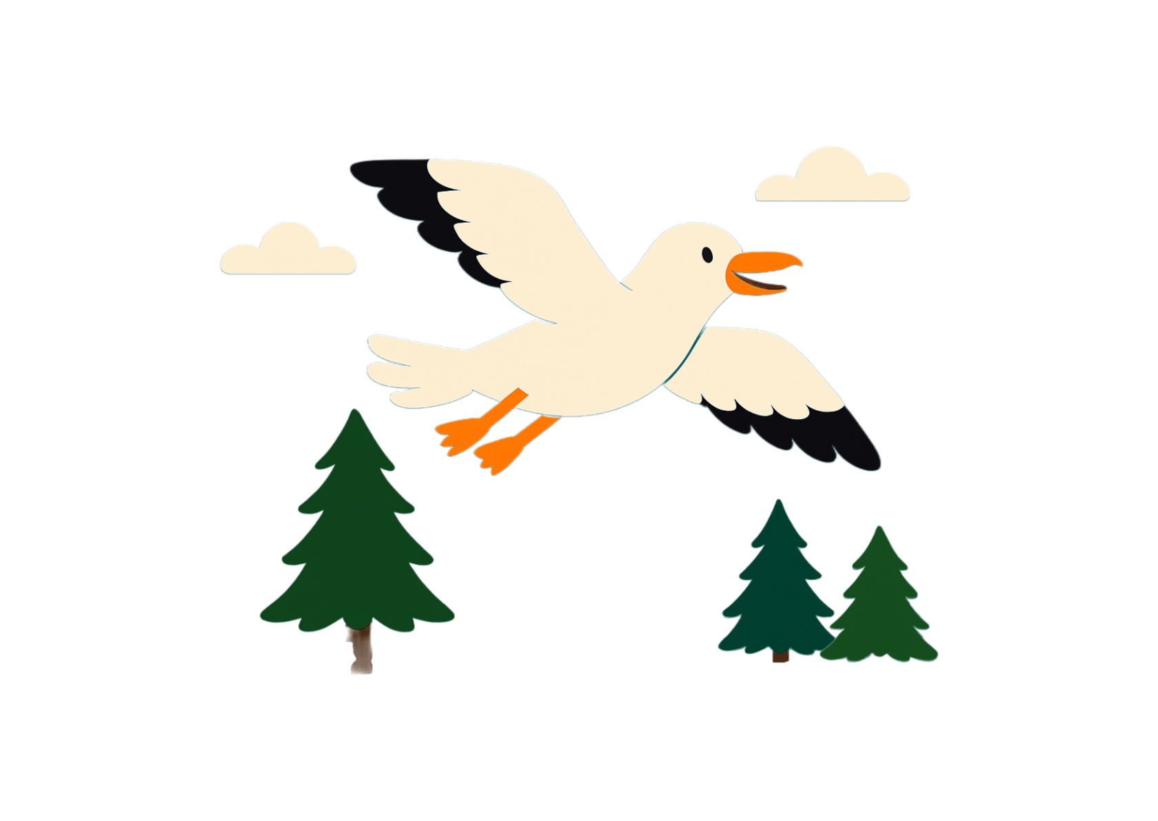 fly