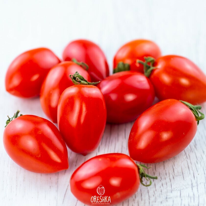 Seeds of Cherry tomato red Belido (solanum lycopersicum) — 10 pcs