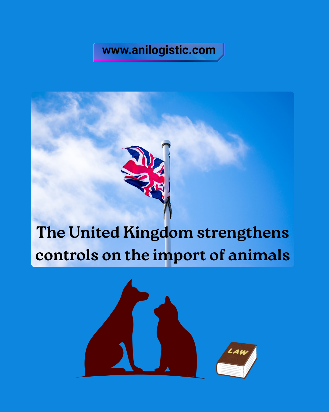 UK border checkpoint – new law to control pet imports
