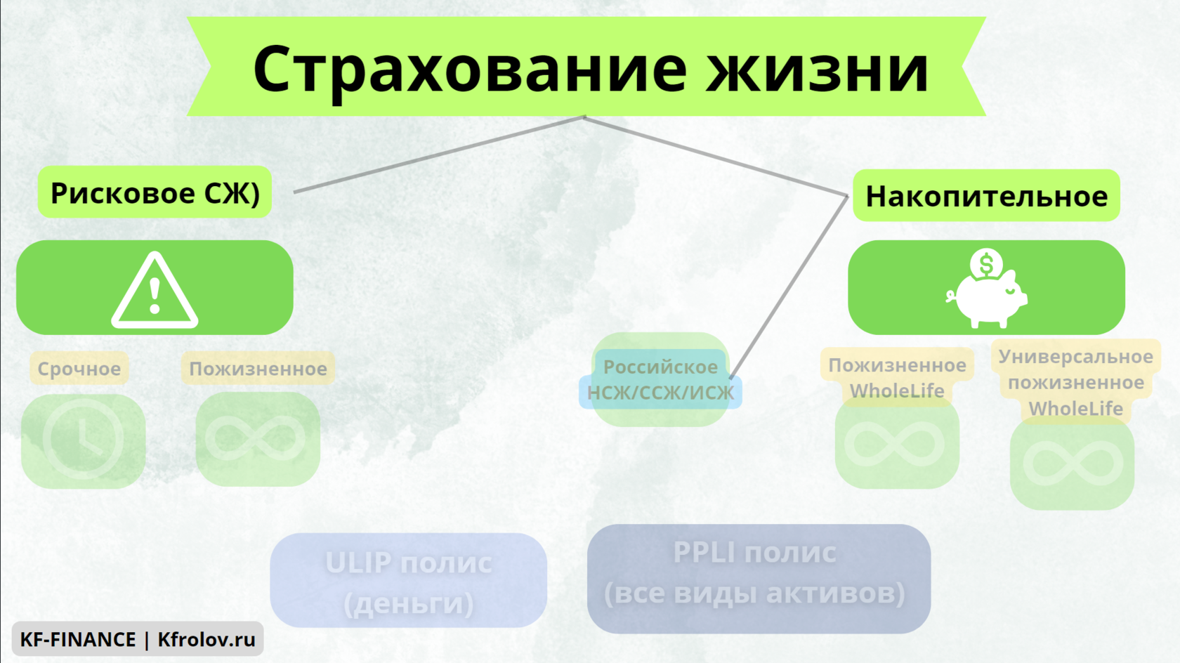 Виды накопительных страхований. Накопительное страхование жизни схема. Страхование жизни рисунок.