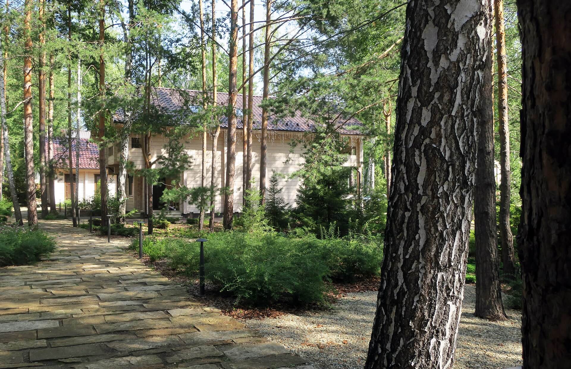 Лес и каменные плиты