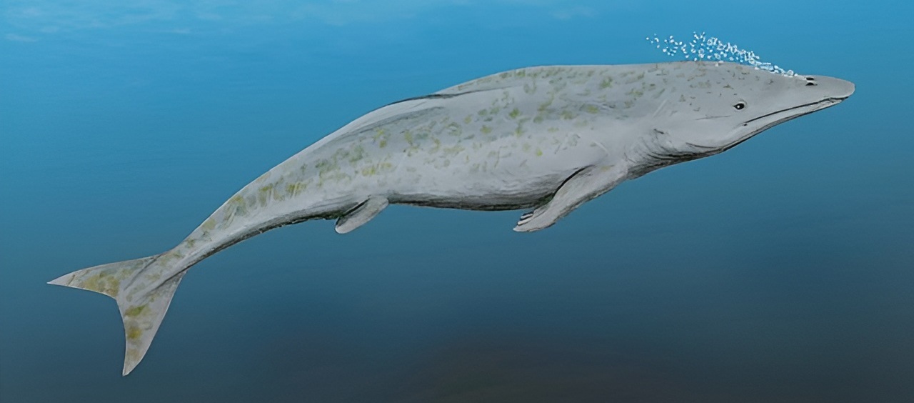 Возможный внешний вид протоцетид (реконструкция)