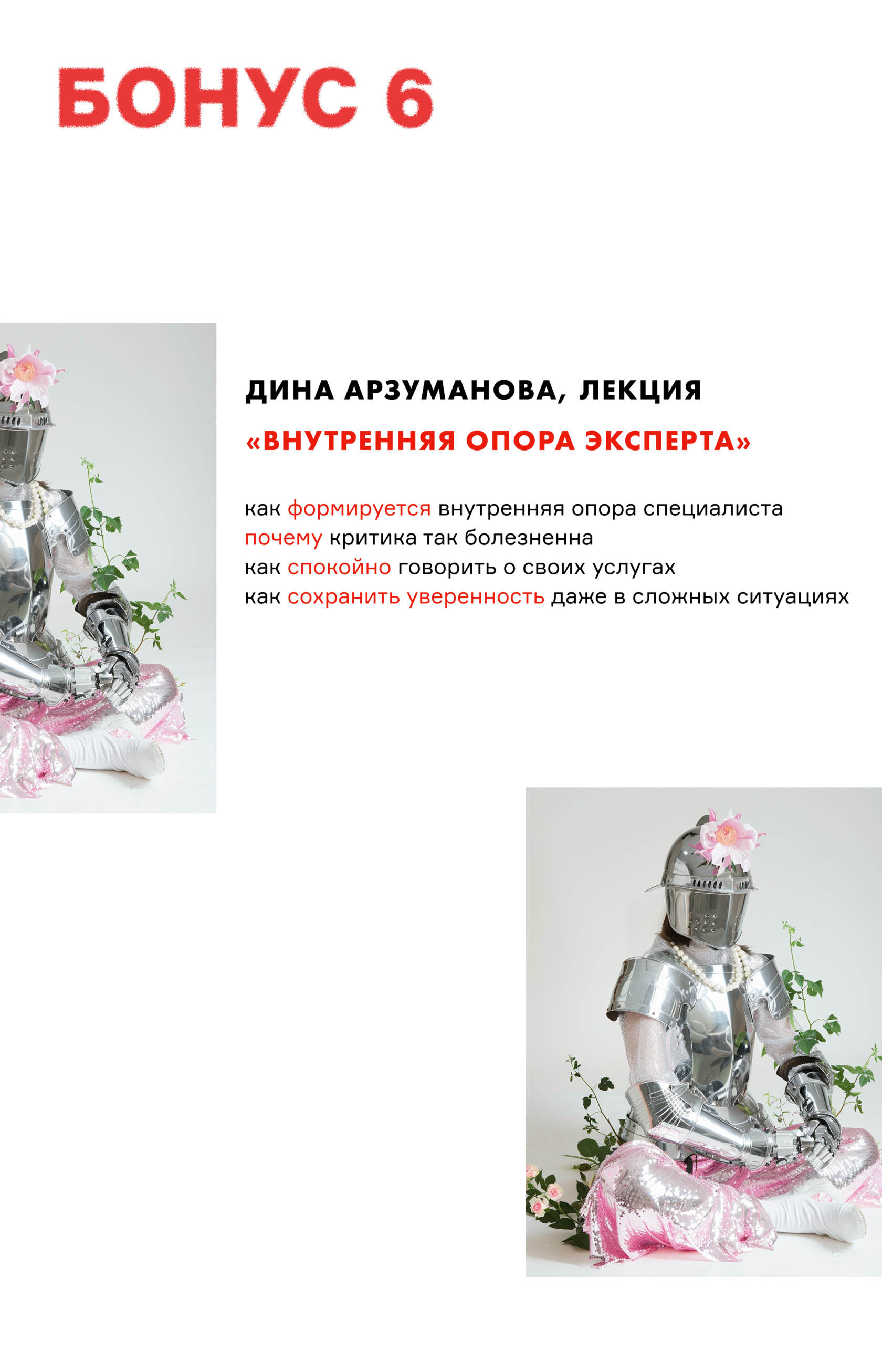 Бонус 6 — Внутренняя опора эксперта