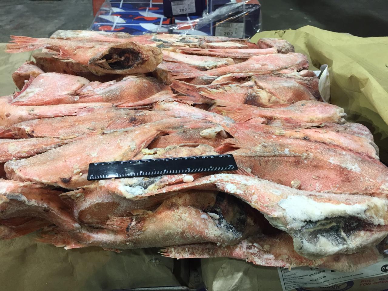 окунь свежемороженый мелкий 100-300