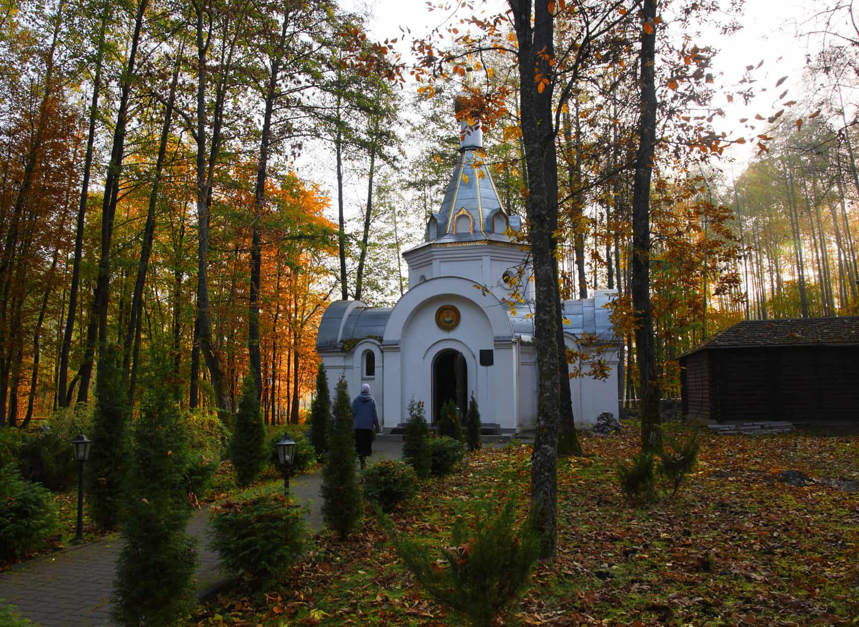 Источник рб. Святой источник Жировичи. Жировичи монастырь купальня. Источник Жировичи купель. Купель в Жировичах.