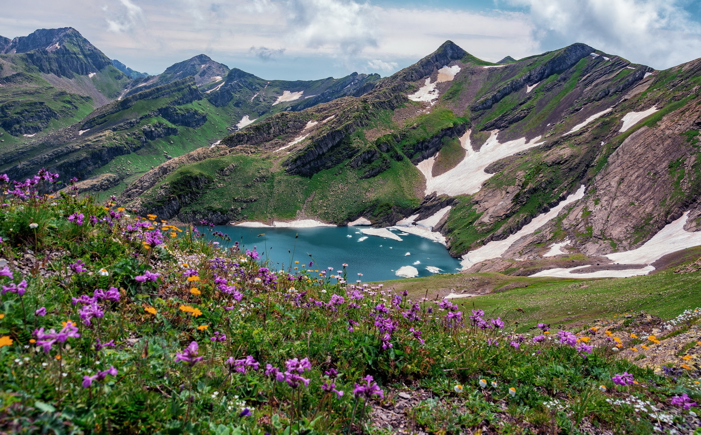 Альпийские луга в абхазии фото