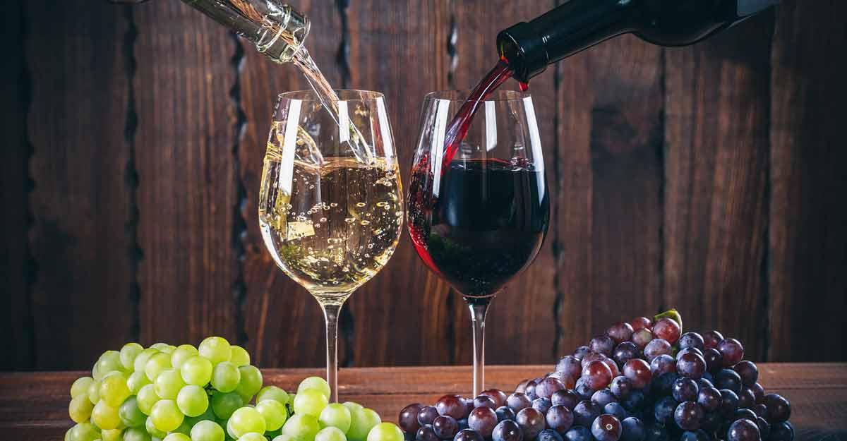Wine tasting in Priorat, tour from Barcelona 2022 | Casamiga Events