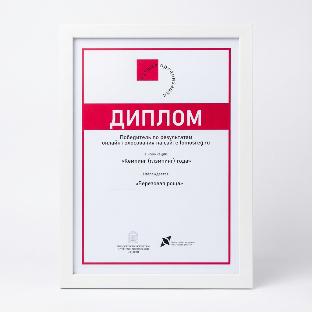 Диплом проекта открытьбазу.рф, 4
