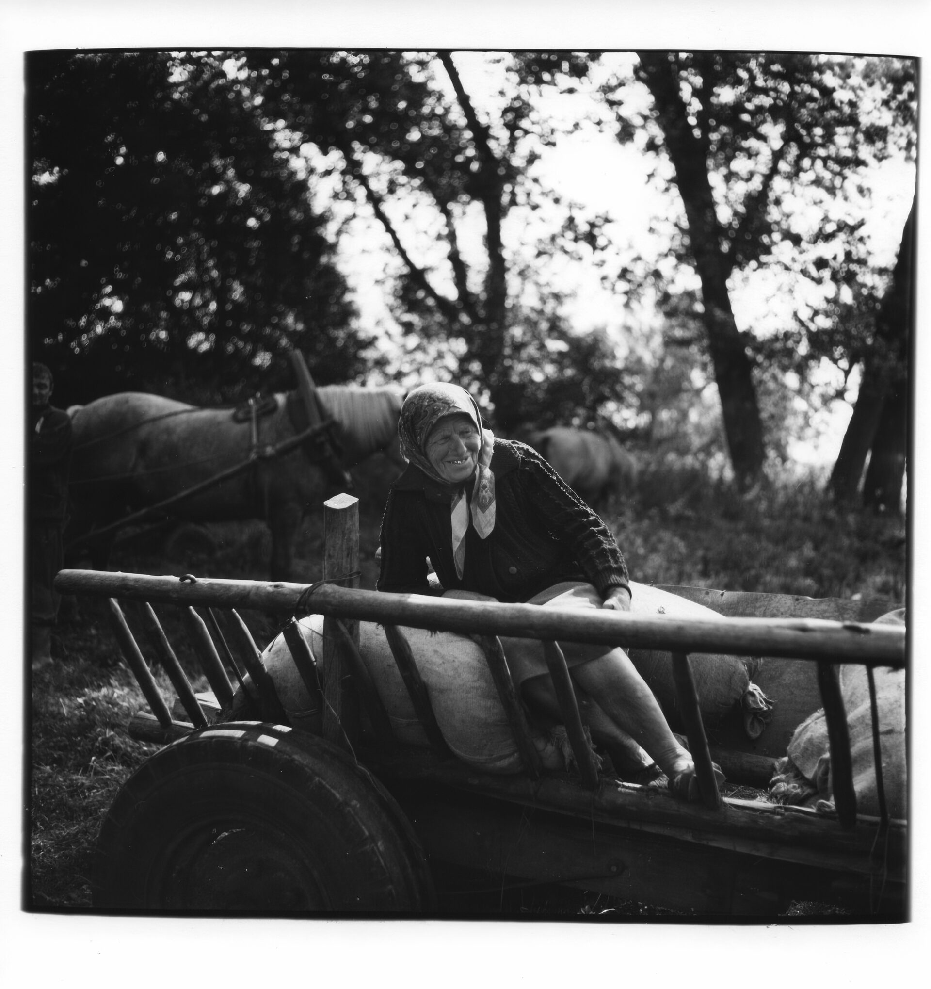 Альберт Цеханович: Кола часу.