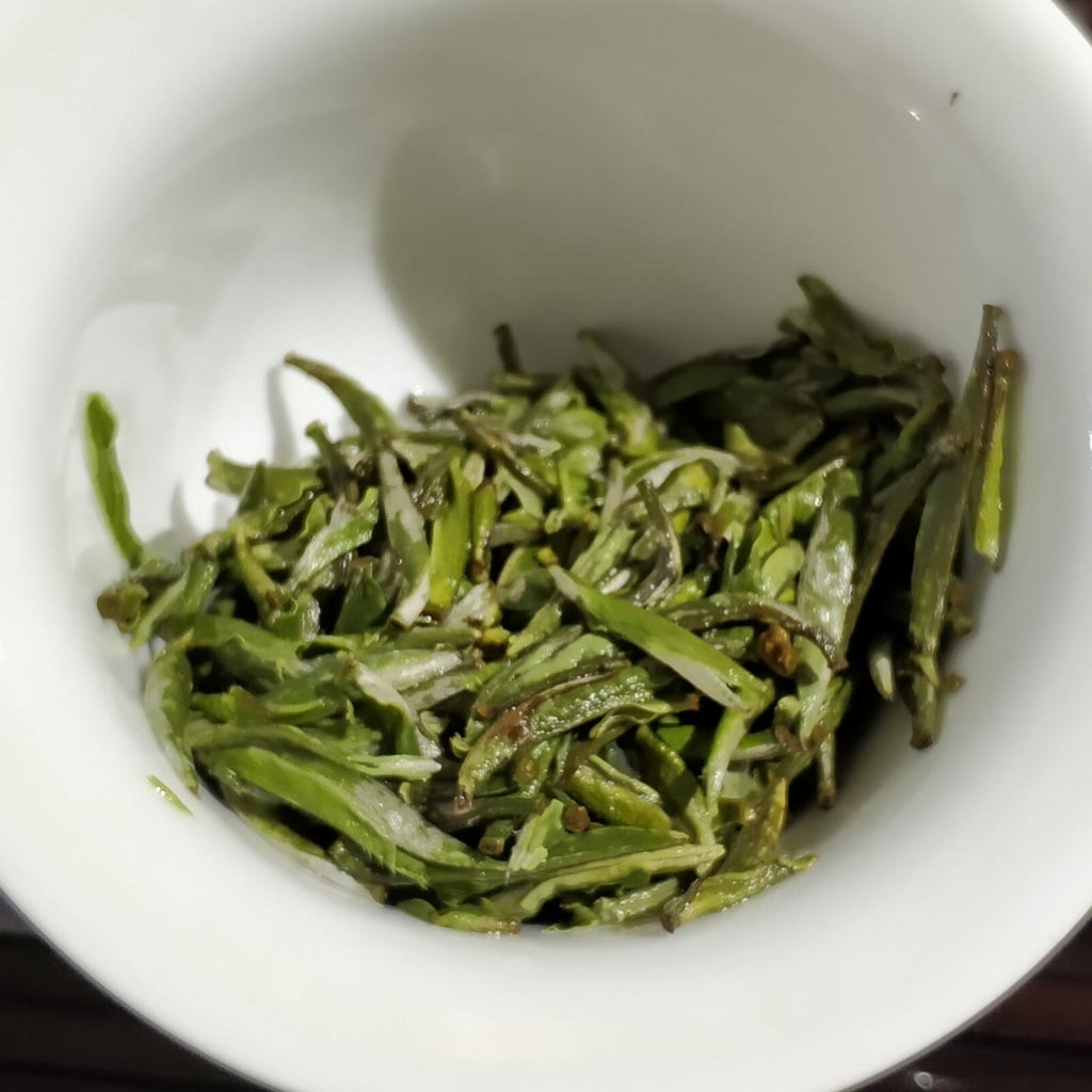 Upright Standing Buds During Brewing