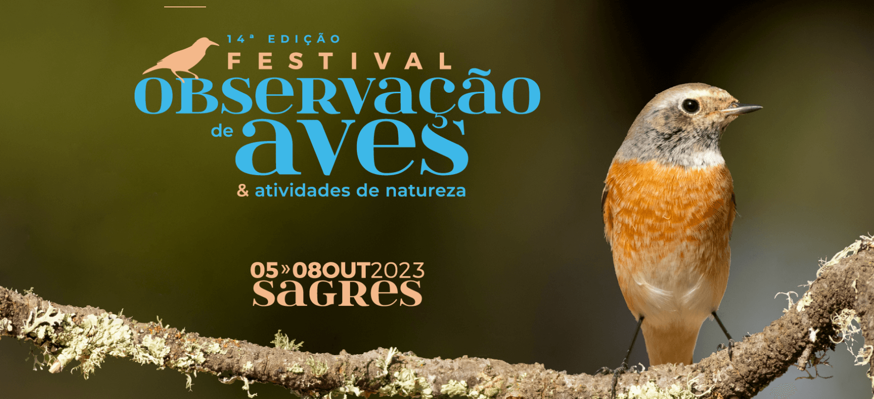 фестиваль наблюдения за птицами в Португалии