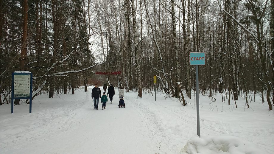 Лыжня в полежаевском парке