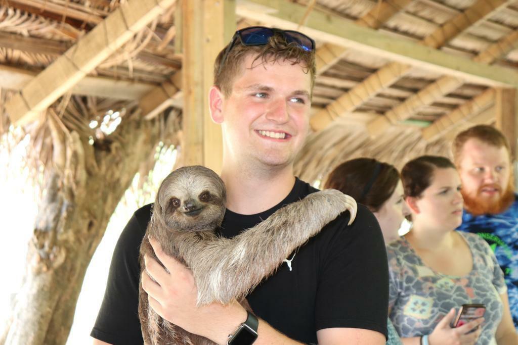 What to expect in a Roatan Sloth Encounter?