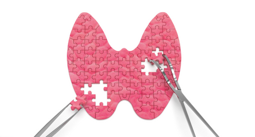 schoolendocrinology1.tilda.ws
