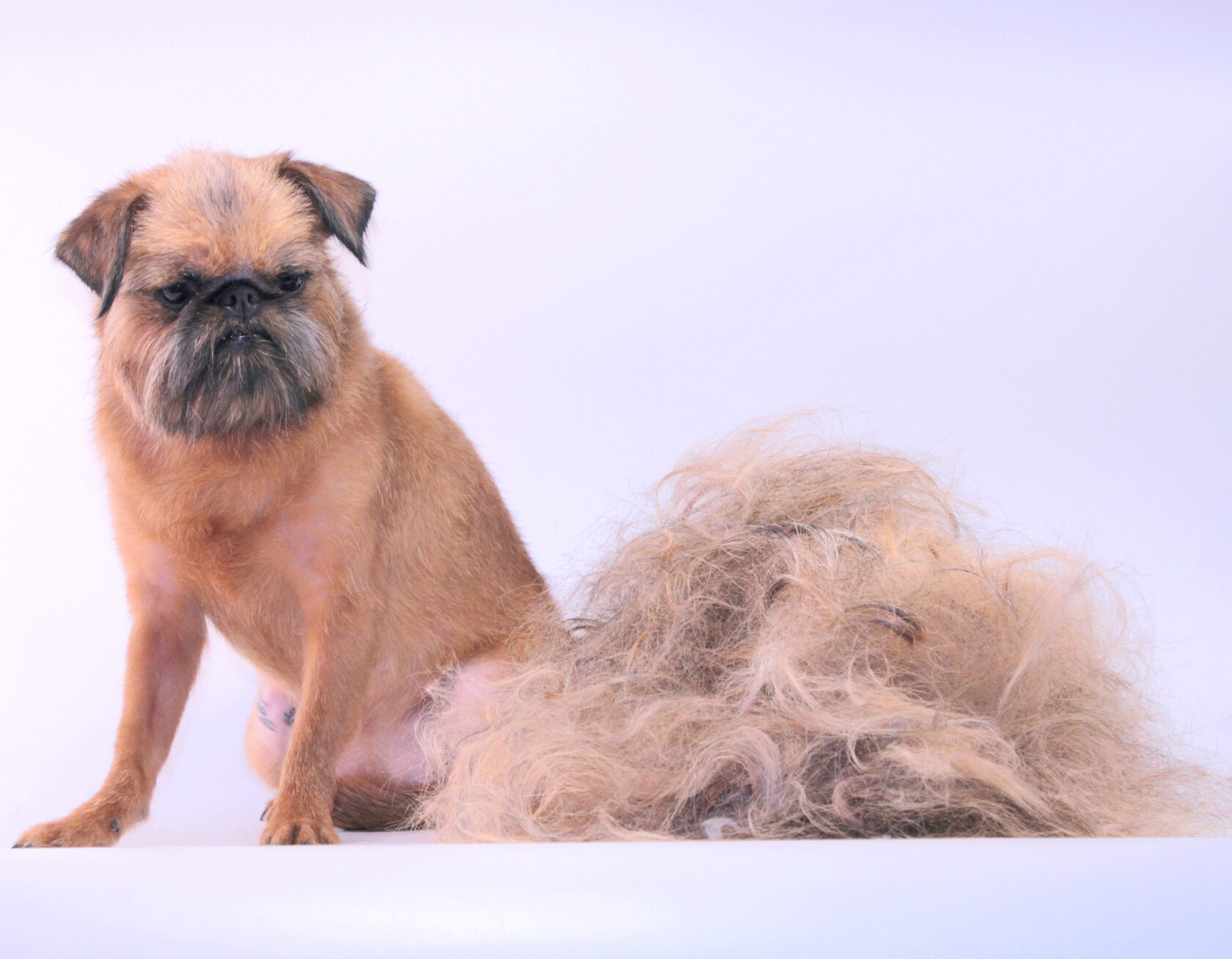 Тримминг / Стриппинг